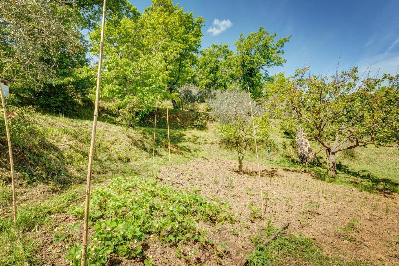 Villa Il Tollino Sinalunga Buitenkant foto